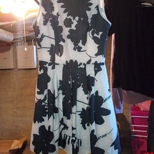 Dressbarn Elegant Green Dress